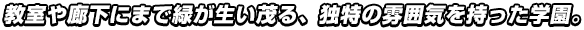 教室や廊下にまで緑が生い茂る、独特の雰囲気を持った学園。