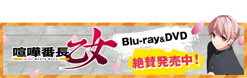 喧嘩番長 乙女 アニメ